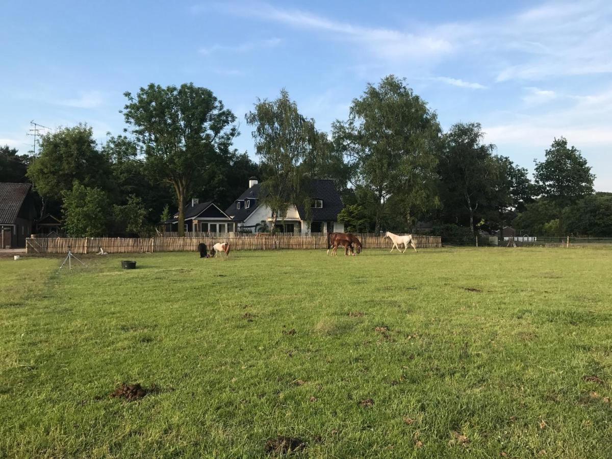 Bed & Breakfast De Zandhoef Eersel Bagian luar foto